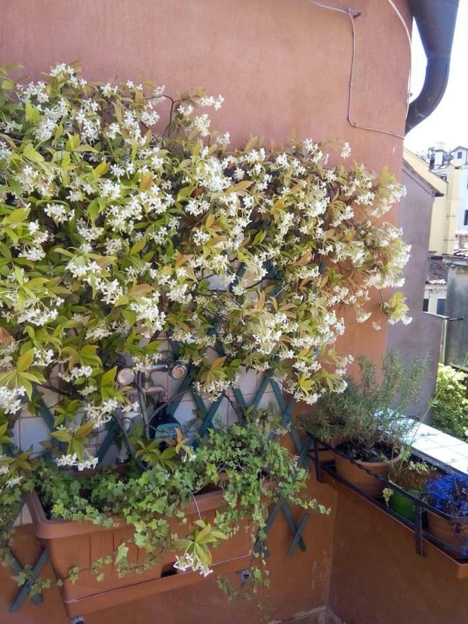 Ca' San Silvestro 2 Terrazze Nel Cuore Di Venezia Exterior photo